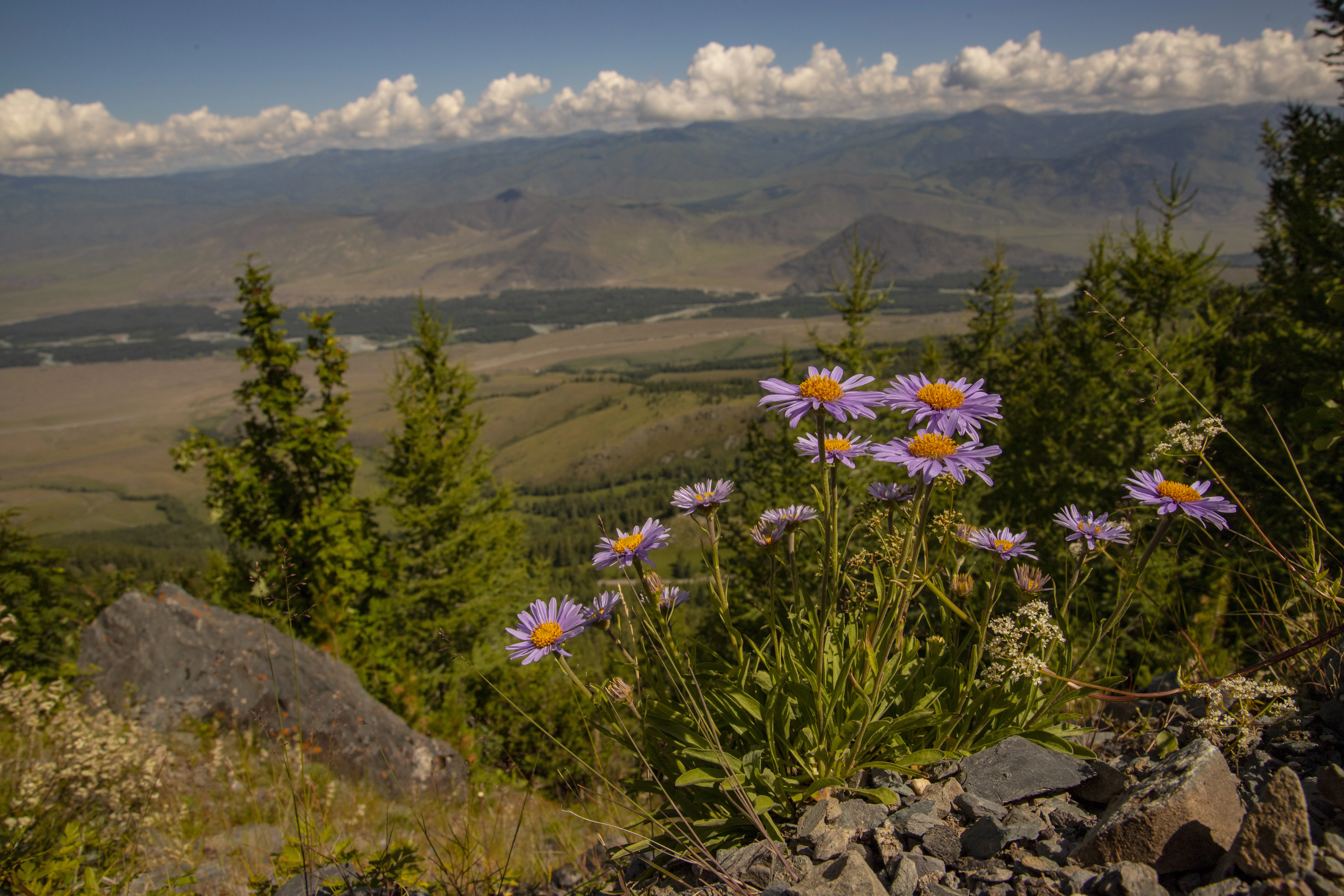 Фото: Аяужан Утеулинова