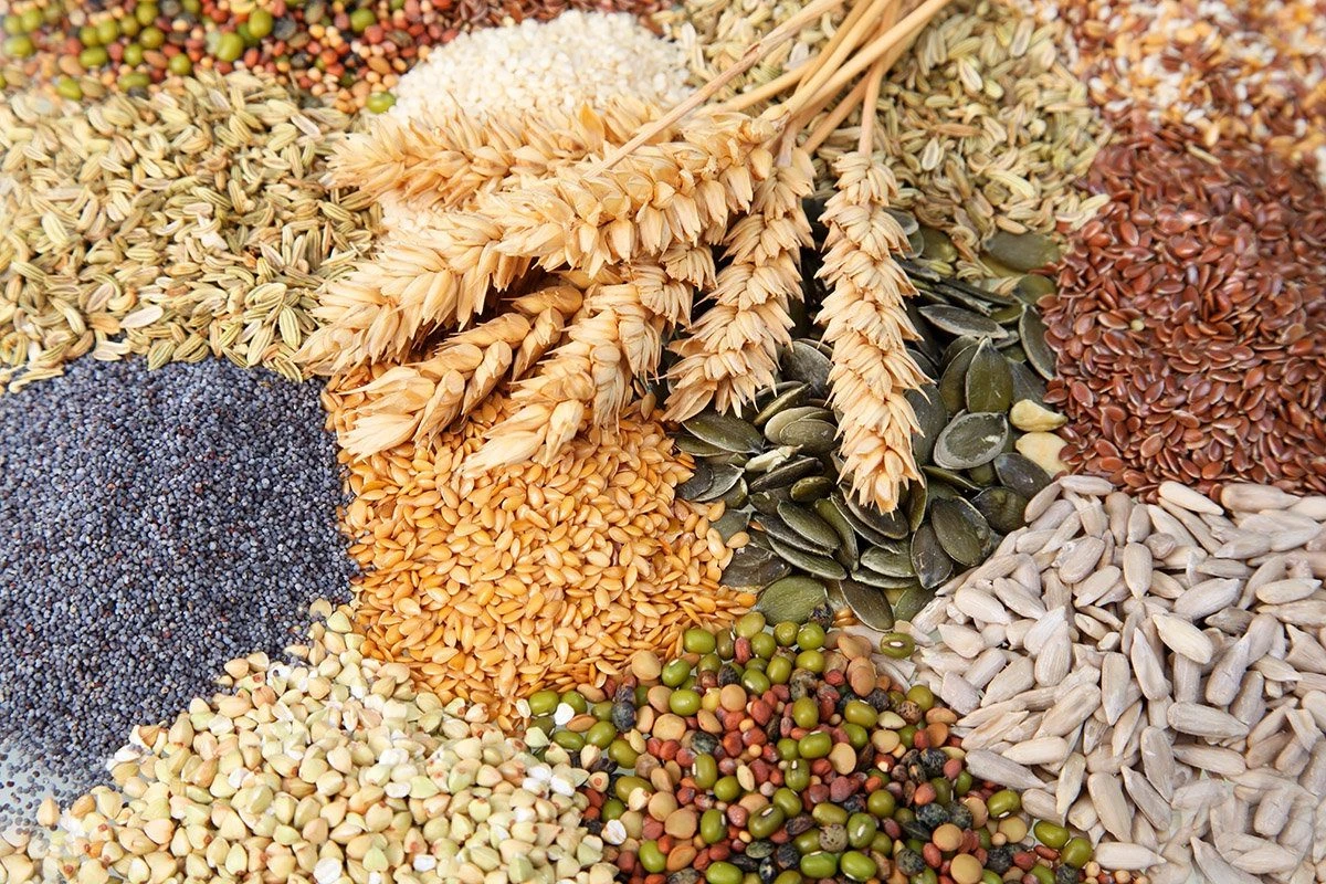 Фото: domikru.net