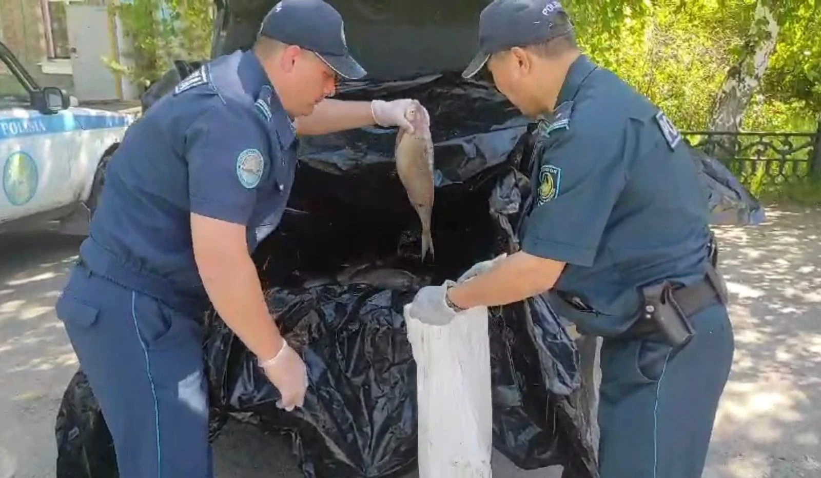 В ВКО пресечена незаконная ловля рыбы » Новости Усть-Каменогорска и ВКО  свежие на сегодня | ALTAINEWS