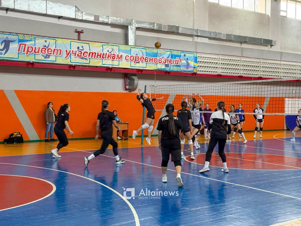 Фото: Александр Шушеньков