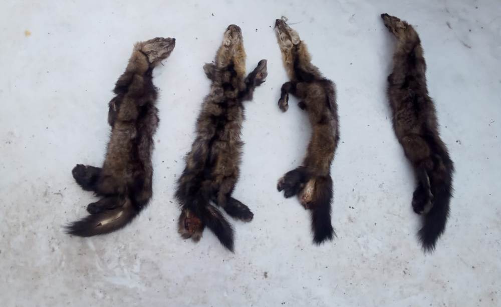 WhatsApp Image 2022-03-09 at 11.55.56.jpeg