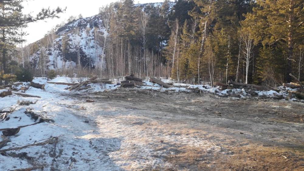 WhatsApp Image 2022-02-24 at 12.47.33 (2).jpeg