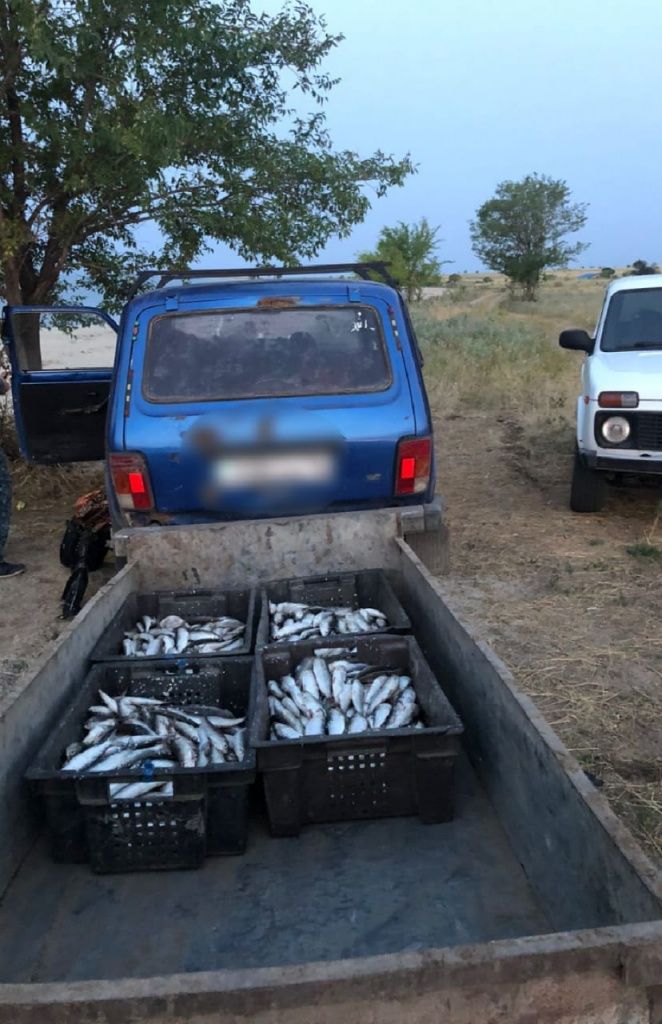 WhatsApp Image 2021-09-06 at 16.37.03.jpeg