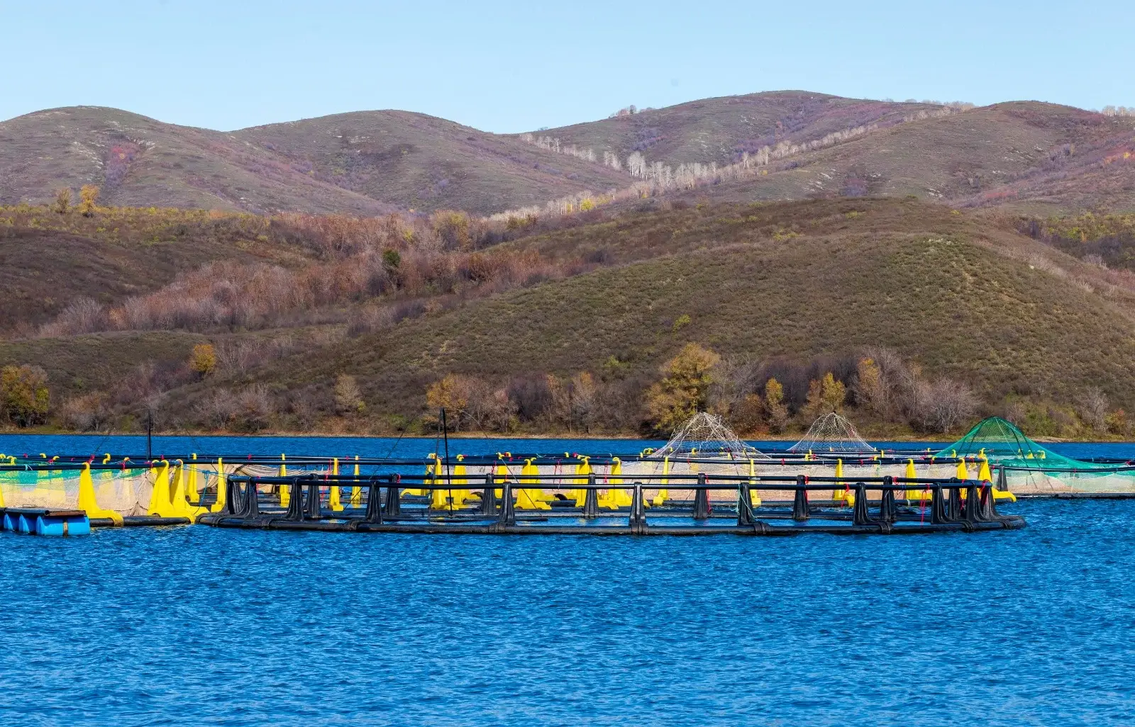Фото: Аяужан Утеулинова
